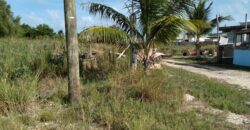 4 Lots Next to Old Belize