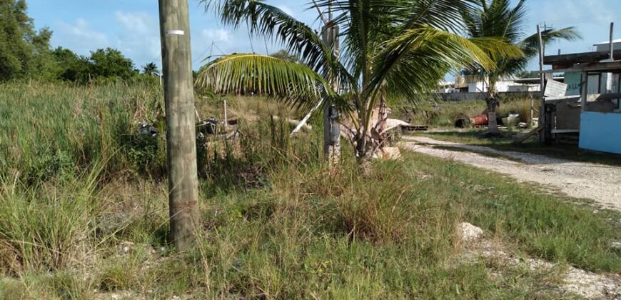 4 Lots Next to Old Belize