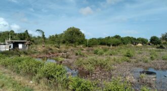 4 Lots Next to Old Belize