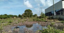 4 Lots Next to Old Belize