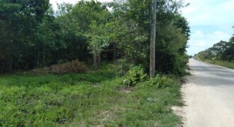 Large lot in Ladyville