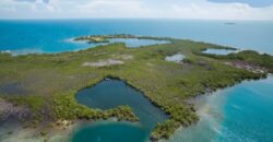 6 Miles East of Placencia