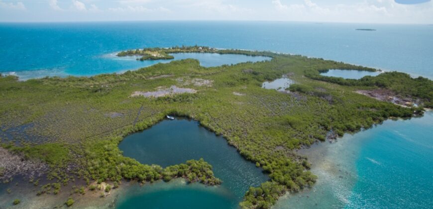 6 Miles East of Placencia