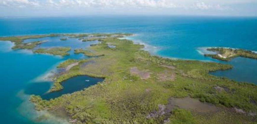 6 Miles East of Placencia