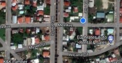 Mex and Amara Avenue Double Lots