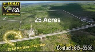 For Sale ( 25 Acres)