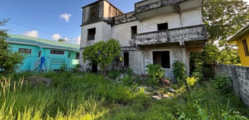 For Sale (2 Story House)