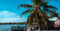 🏝 FOR SALE – Manatee Lookout Restaurant & Bar