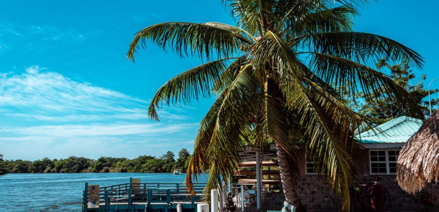 🏝 FOR SALE – Manatee Lookout Restaurant & Bar