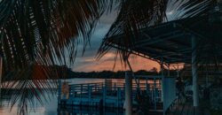 🏝 FOR SALE – Manatee Lookout Restaurant & Bar