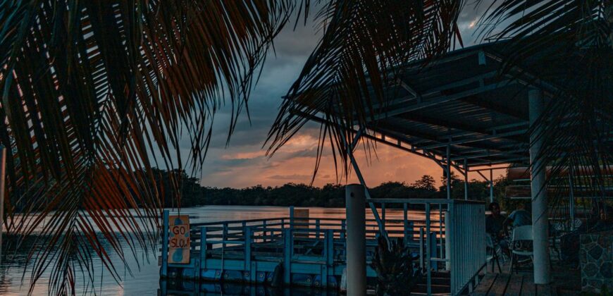 🏝 FOR SALE – Manatee Lookout Restaurant & Bar