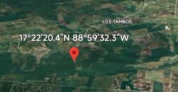 For Sale🌱 Farm Land for Sale – 150 Acres 🌱