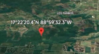 For Sale🌱 Farm Land for Sale – 150 Acres 🌱