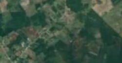 For Sale🌱 Farm Land for Sale – 150 Acres 🌱