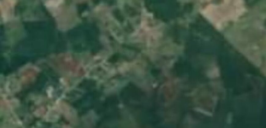 For Sale🌱 Farm Land for Sale – 150 Acres 🌱