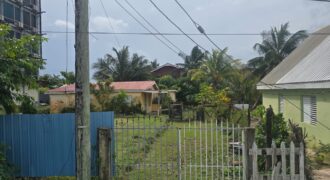 FOR SALE – PRIME CONEY DRIVE PROPERTY
