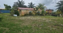 FOR SALE – PRIME CONEY DRIVE PROPERTY