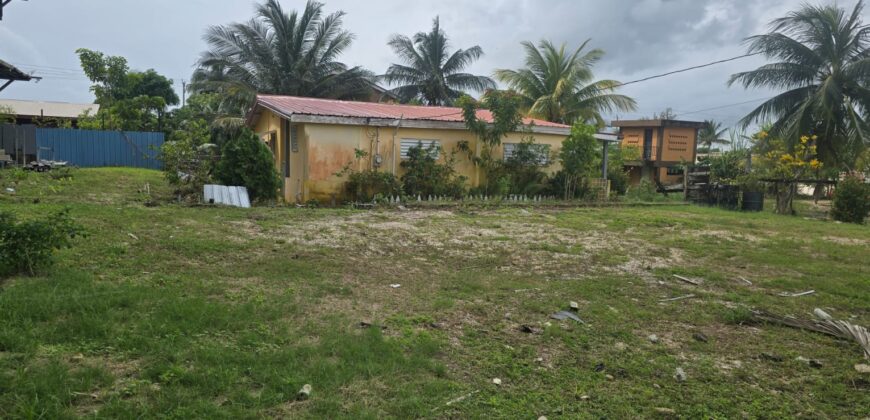 FOR SALE – PRIME CONEY DRIVE PROPERTY