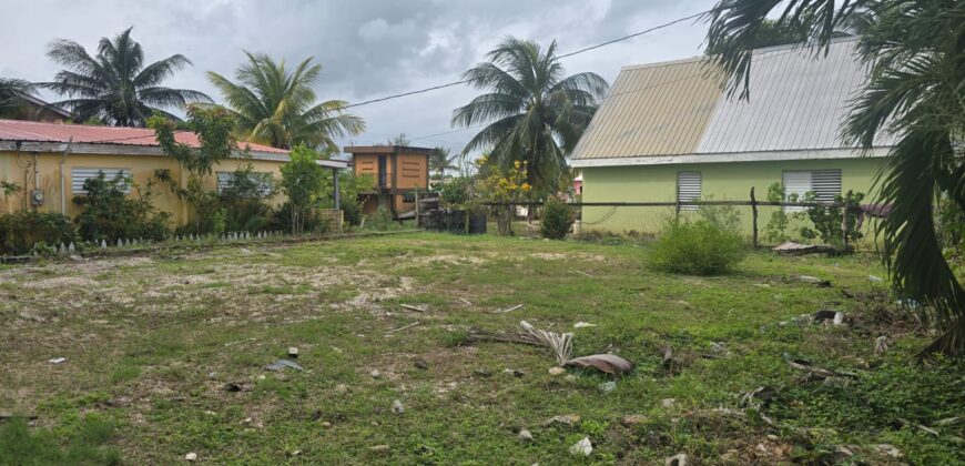 FOR SALE – PRIME CONEY DRIVE PROPERTY