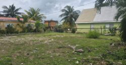 FOR SALE – PRIME CONEY DRIVE PROPERTY