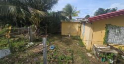 FOR SALE – PRIME CONEY DRIVE PROPERTY