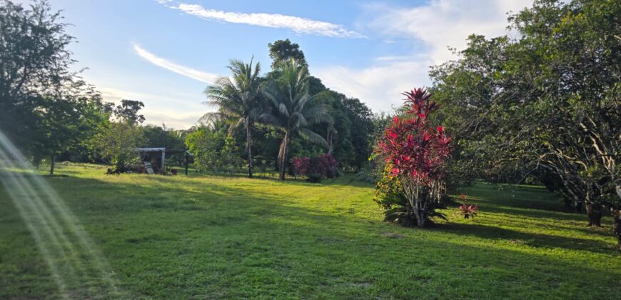 FOR SALE – 100 ACRES – PRIME LAND IN JAGUAR PAW, BELIZE