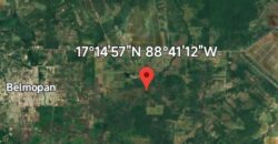 FOR SALE – 10 ACRES – FRANK’S EDDY AGRICULTURAL LAYOUT, CAYO DISTRICT