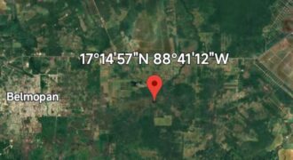 FOR SALE – 10 ACRES – FRANK’S EDDY AGRICULTURAL LAYOUT, CAYO DISTRICT