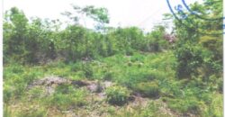 FOR SALE – 10 ACRES – FRANK’S EDDY AGRICULTURAL LAYOUT, CAYO DISTRICT
