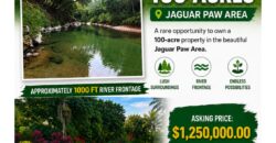 FOR SALE – 100 ACRES – PRIME LAND IN JAGUAR PAW, BELIZE
