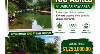 FOR SALE – 100 ACRES – PRIME LAND IN JAGUAR PAW, BELIZE