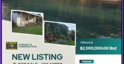 FOR SALE – 100 ACRES – PRIME LAND IN JAGUAR PAW, BELIZE