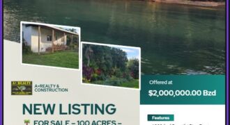 FOR SALE – 100 ACRES – PRIME LAND IN JAGUAR PAW, BELIZE