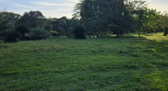 FOR SALE – 100 ACRES – PRIME LAND IN JAGUAR PAW, BELIZE