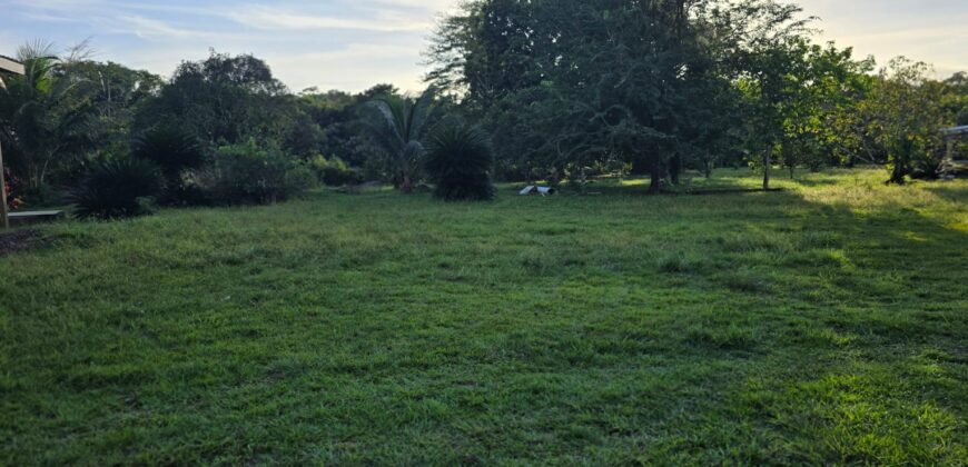 FOR SALE – 100 ACRES – PRIME LAND IN JAGUAR PAW, BELIZE