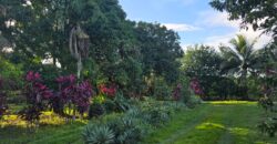 FOR SALE – 100 ACRES – PRIME LAND IN JAGUAR PAW, BELIZE