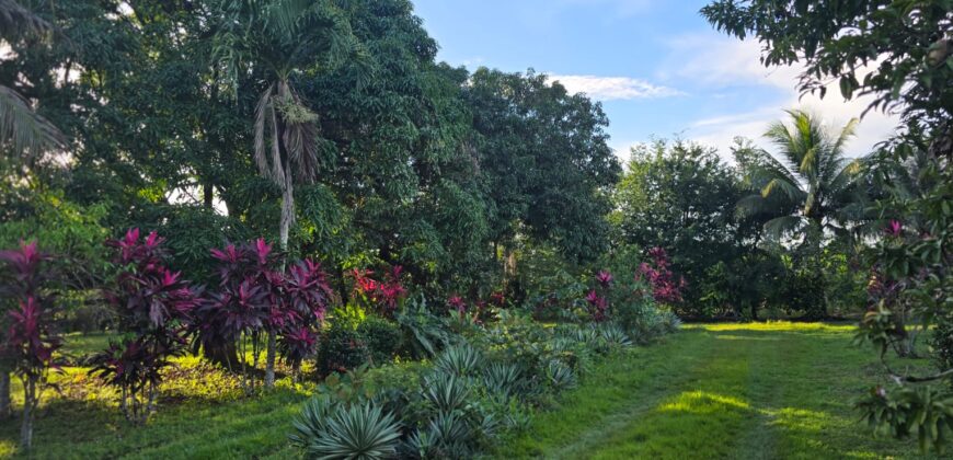 FOR SALE – 100 ACRES – PRIME LAND IN JAGUAR PAW, BELIZE