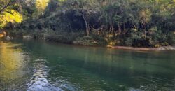 FOR SALE – 100 ACRES – PRIME LAND IN JAGUAR PAW, BELIZE