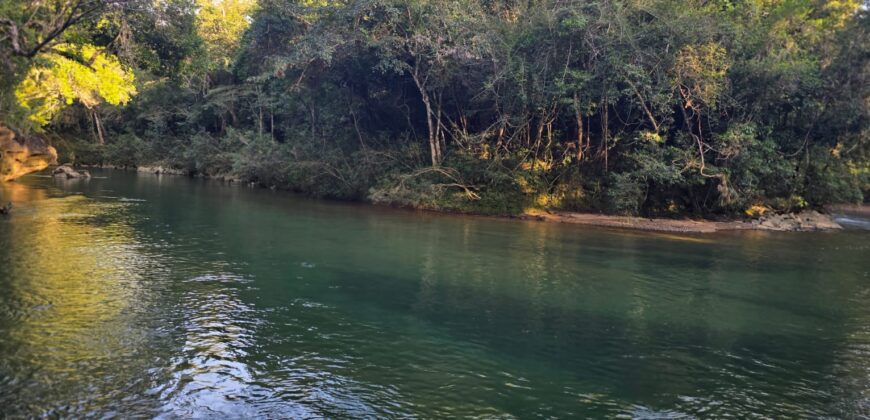 FOR SALE – 100 ACRES – PRIME LAND IN JAGUAR PAW, BELIZE