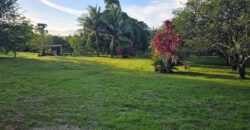 FOR SALE – 100 ACRES – PRIME LAND IN JAGUAR PAW, BELIZE