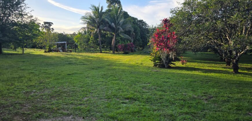 FOR SALE – 100 ACRES – PRIME LAND IN JAGUAR PAW, BELIZE