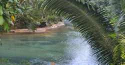 FOR SALE – 100 ACRES – PRIME LAND IN JAGUAR PAW, BELIZE