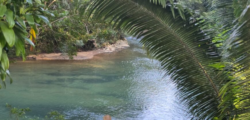 FOR SALE – 100 ACRES – PRIME LAND IN JAGUAR PAW, BELIZE