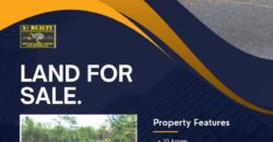 FOR SALE – 10 ACRES – FRANK’S EDDY AGRICULTURAL LAYOUT, CAYO DISTRICT