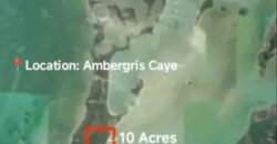 🌴 FOR SALE – 10 Acres on Ambergris Caye 🌊