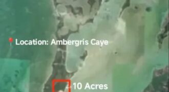 🌴 FOR SALE – 10 Acres on Ambergris Caye 🌊