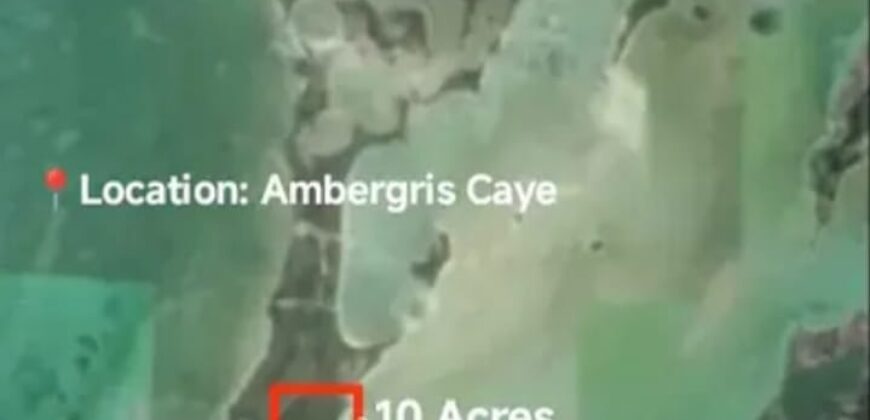 🌴 FOR SALE – 10 Acres on Ambergris Caye 🌊