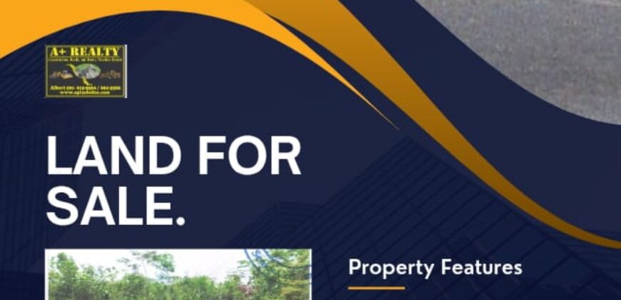 FOR SALE – 10 ACRES – FRANK’S EDDY AGRICULTURAL LAYOUT, CAYO DISTRICT