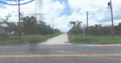 FOR SALE – 10 ACRES – FRANK’S EDDY AGRICULTURAL LAYOUT, CAYO DISTRICT
