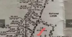 🌴 FOR SALE – 10 Acres on Ambergris Caye 🌊